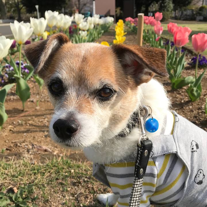 2f237b81 a937 4465 a152 66f48d3729d9 1617269411200