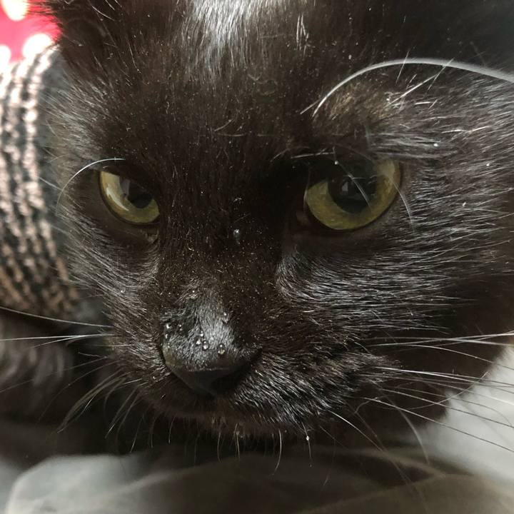 2f23a845 d863 4fca a9e0 e867ac830569 1638546209471