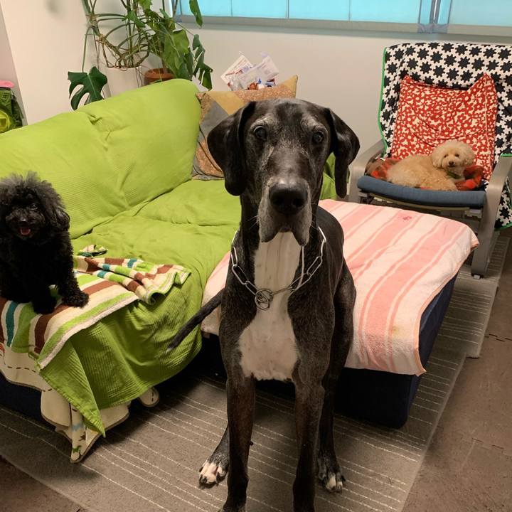 2f24047f a0fb 4d4e 9fa5 cd911fb42573 1598826606419