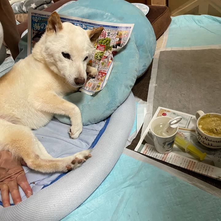 2f243347 754b 4ad0 8ca4 d2ede6377f15 1654259287835