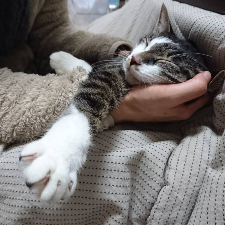 2f24368e 1726 40cc 8fae 6a79236f08ca 1514201175945