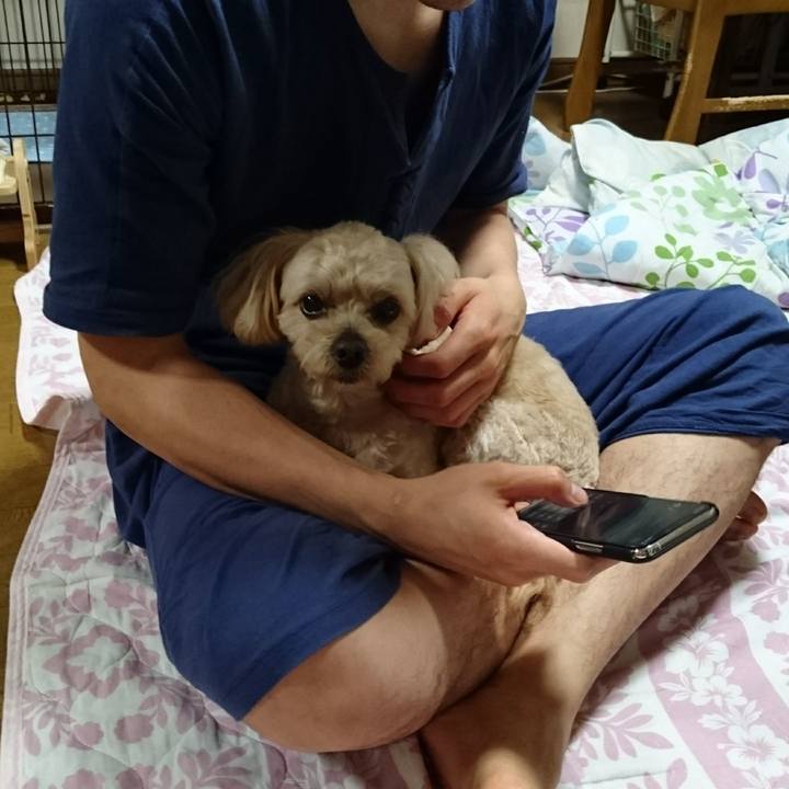 2f2437a1 dfc6 4eb6 becc 18cdd43468f7 1592729200064