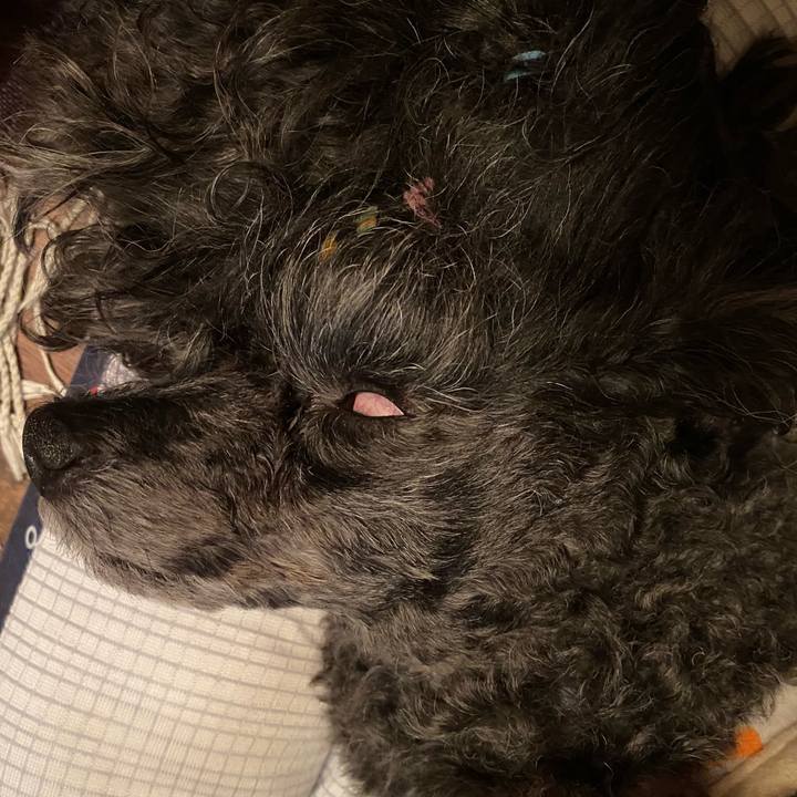 2f244648 9cb7 4967 9022 11028cc468a0 1693312174672