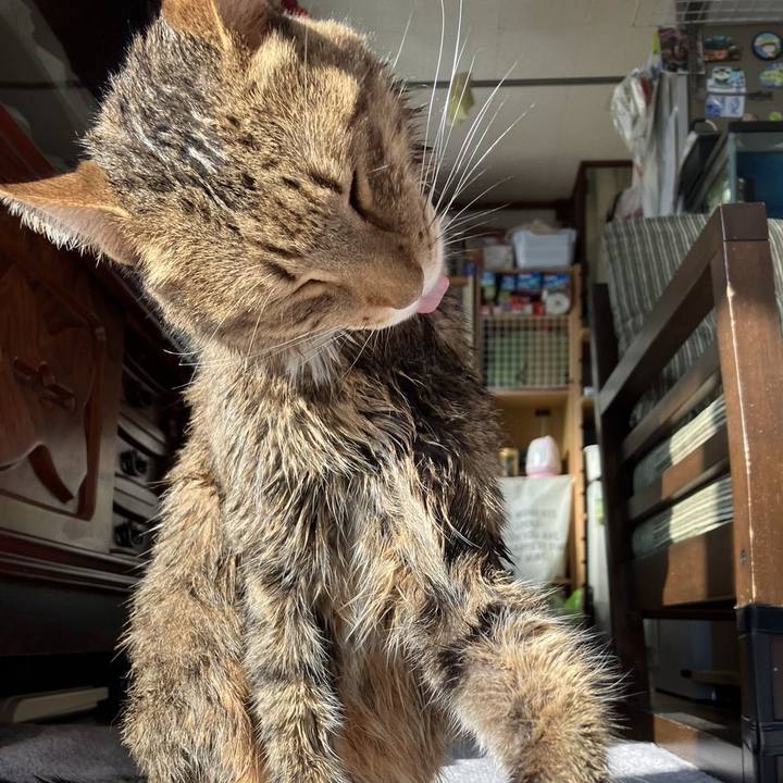 2f2455e6 74b5 4baa 9a27 c783a079bed4 1708089579934