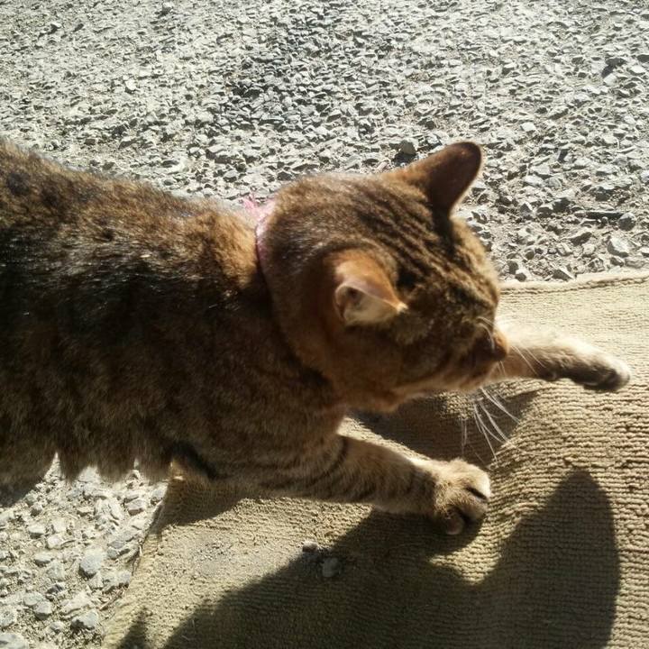 2f2493bc c644 48e8 831a e4963e7a5054 1513676935153