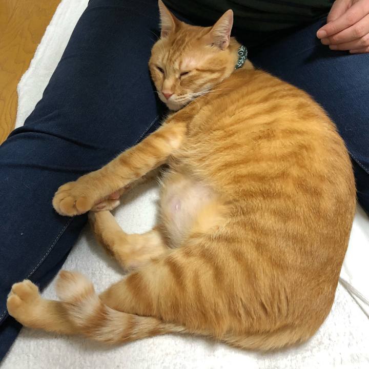 2f24942b 33d9 440e a3e4 fa94c14bf1b0 1577877945065