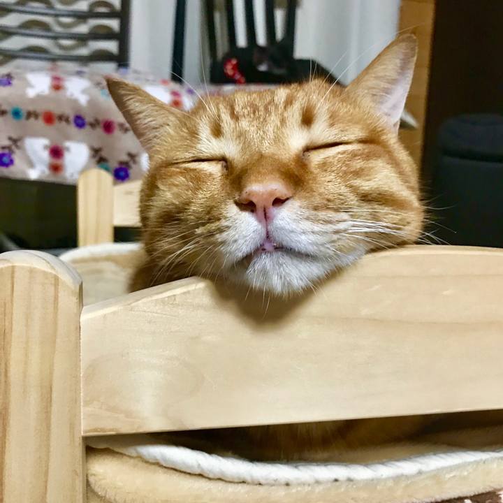 2f24972d f7cb 4464 99c1 8f683a04a8f3 1507803374150