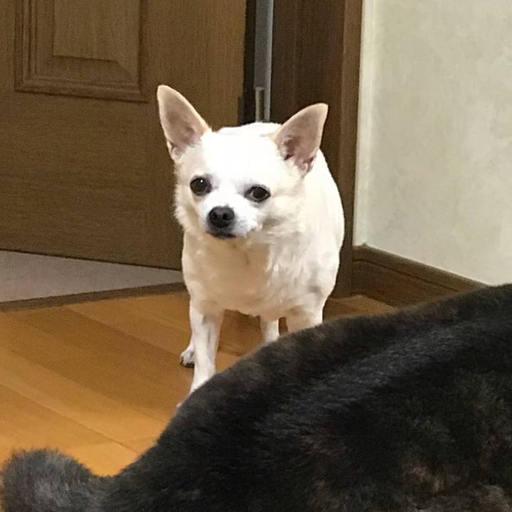 2f24aa97 5e51 4097 a201 f5f0c0460a4b 1541155408078