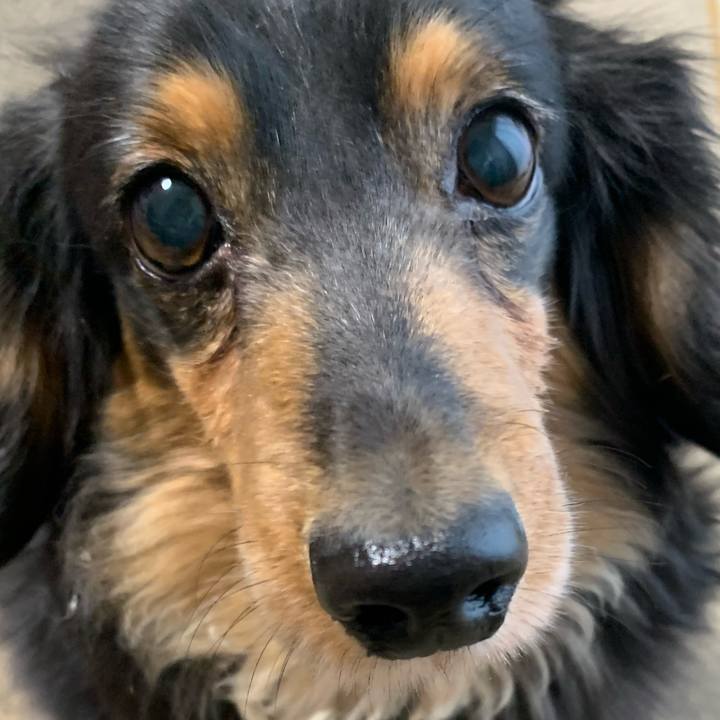 2f24af21 f06e 49a8 bb8f 7f54600a0d62 1582329653891