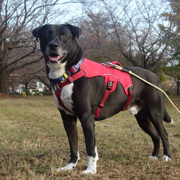 2f24b682 3a20 44e9 bdcc bac12d418a90 1668213228254