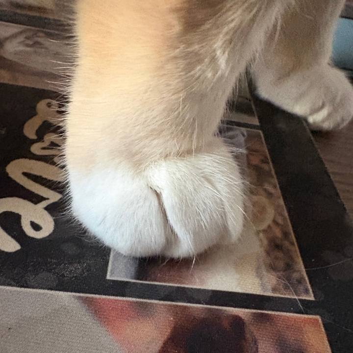 2f24b880 ad4b 401c 97ff ca8bf087190f 1769729009573