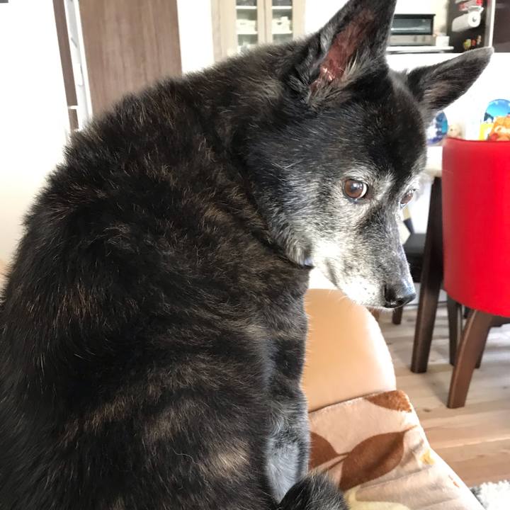 2f24d19d 0983 43ba be6c 37260482a47c 1603455950594