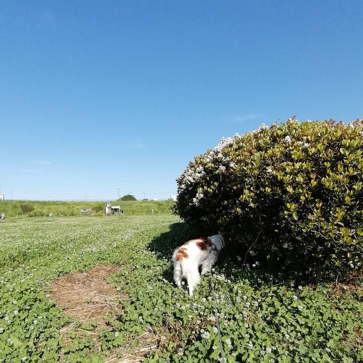 2f24e116 0b87 4ff2 8f71 85f613afbdda 1590190776063