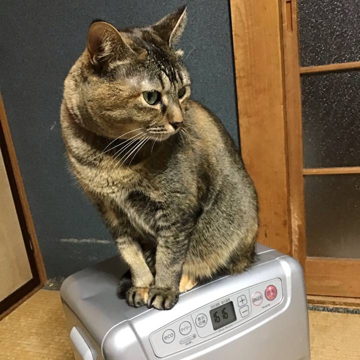 2f24e537 8317 4cff bbe9 c534f68af9ac 1701774556903