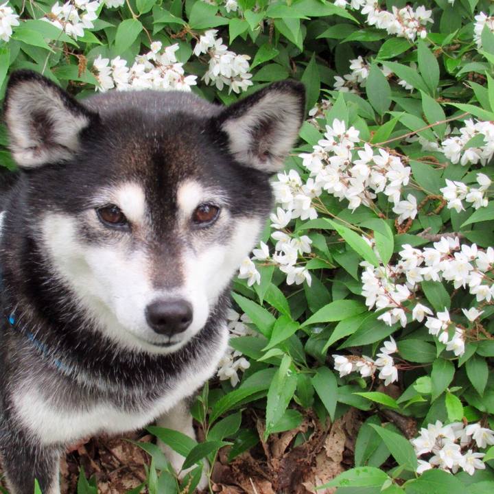 2f24f52e 5a3a 4927 84b1 24034bb8f926 1621388978953