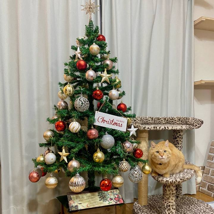 2f2514be 40fe 467d 8332 e73973bb3041 1764545192870