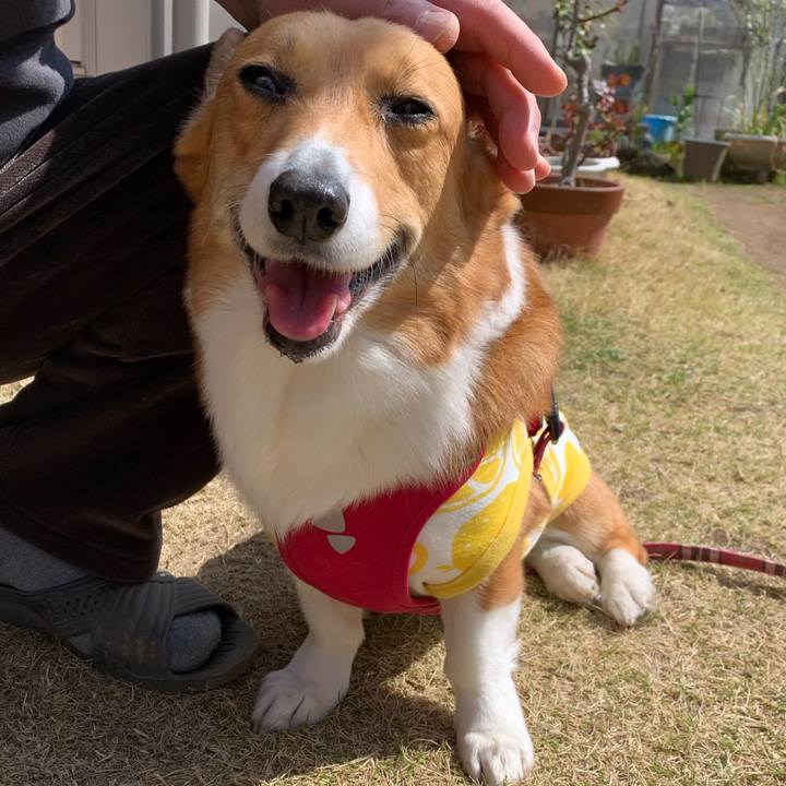 2f251f7b 368b 44b1 ba90 e632cb790532 1615863075530