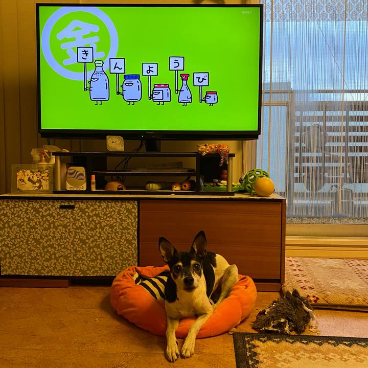 2f25288d f1ea 40be 9405 0e7c993163c5 1608243700021