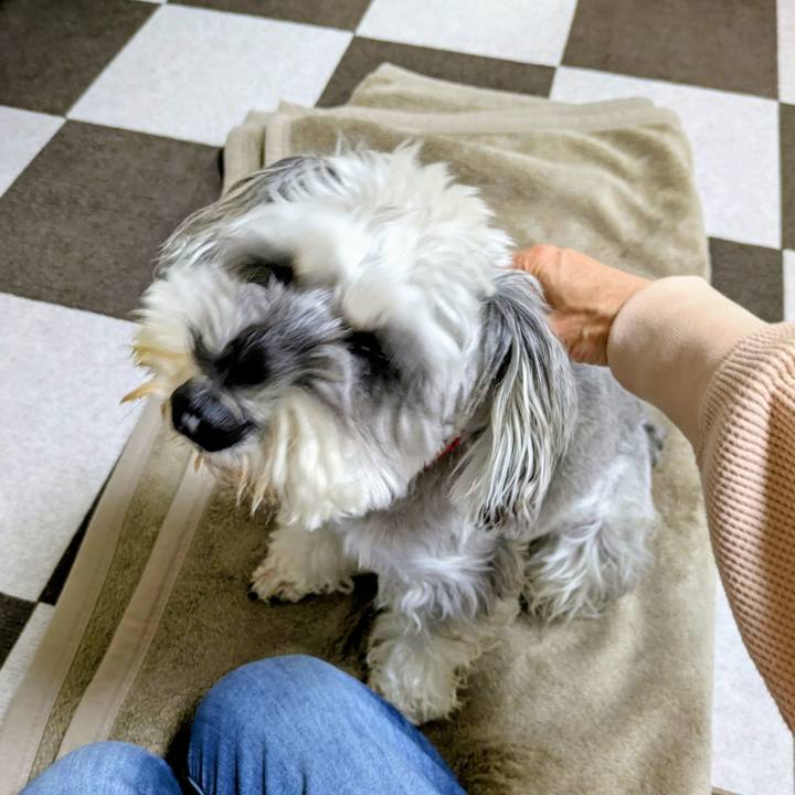 2f2558fa e057 4046 b485 6cba73b29023 1762614990398