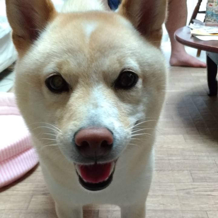 2f258fdb 4b5d 4bb0 9e35 598dd7606688 1595540395186