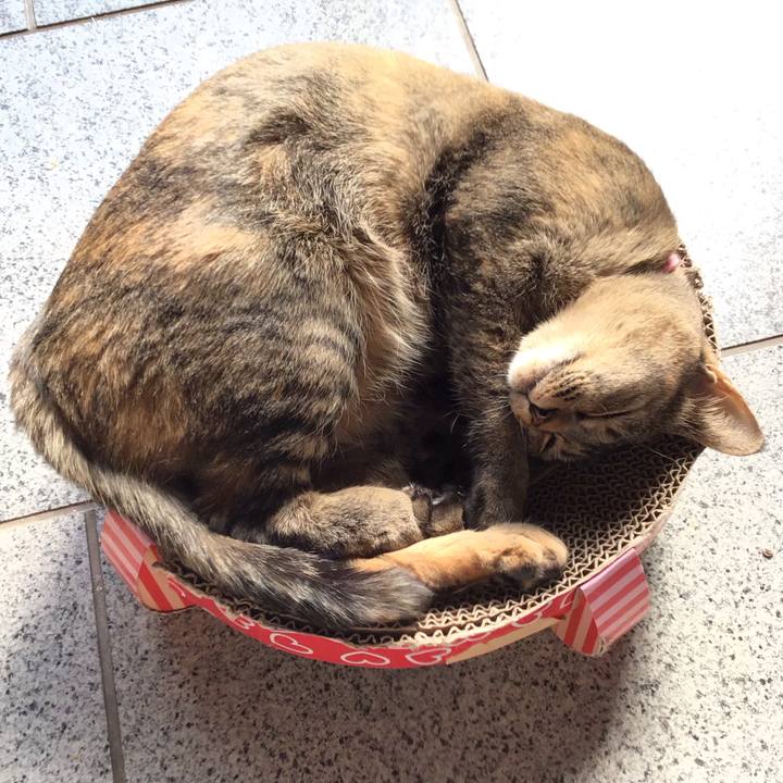 2f259161 4cce 4f43 a890 258cf76a1e49 1612672517598