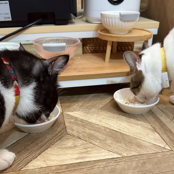 2f25aa1b bc57 4de9 b9a6 2ed476e9a1f3 1760007555619