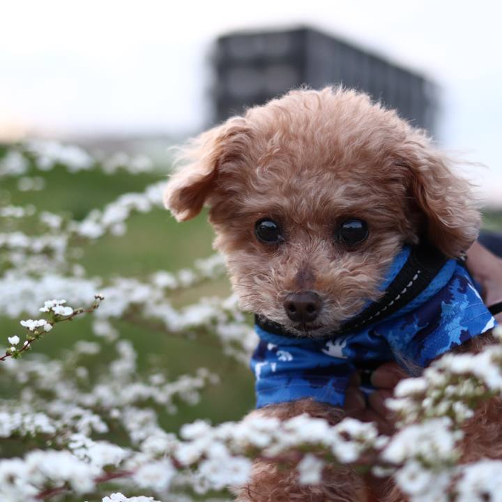 2f25b886 5ca8 447c b06e cab2d55bc6e1 1665148080863