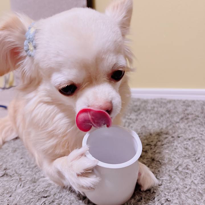 2f25e179 e14f 43cf 8b5e edd075146166 1678156558879