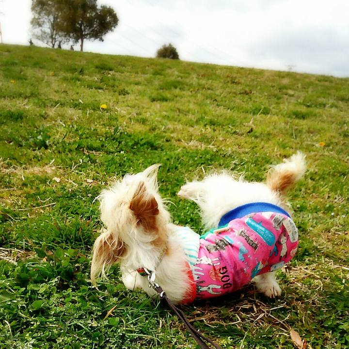 2f25e1ac f405 4056 9da4 ae92ed0a7202 1521377027793