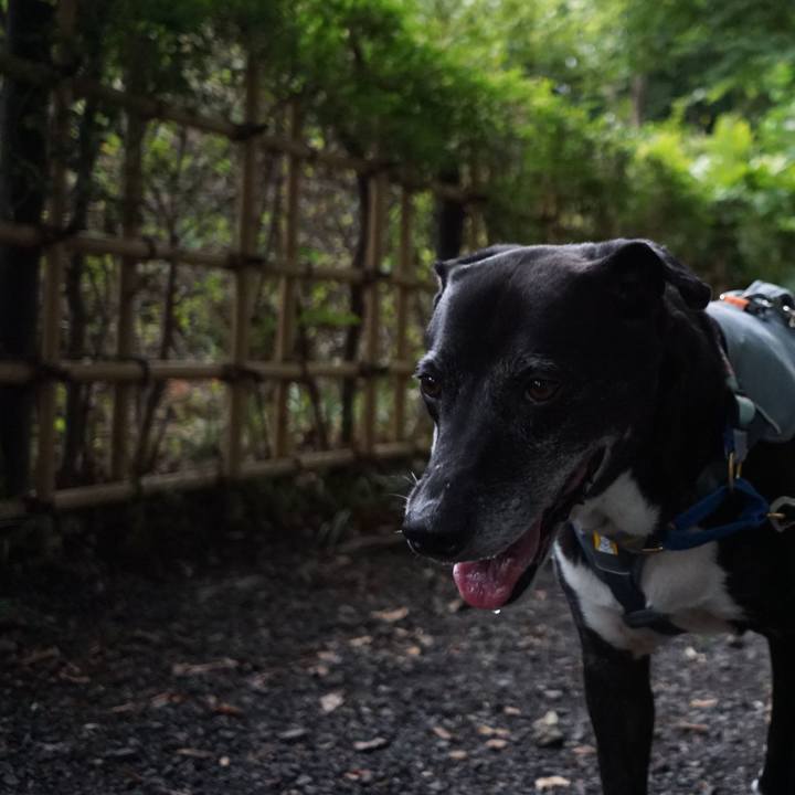 2f25e86b 1deb 40ee 97db fe765fef2d10 1757376064885