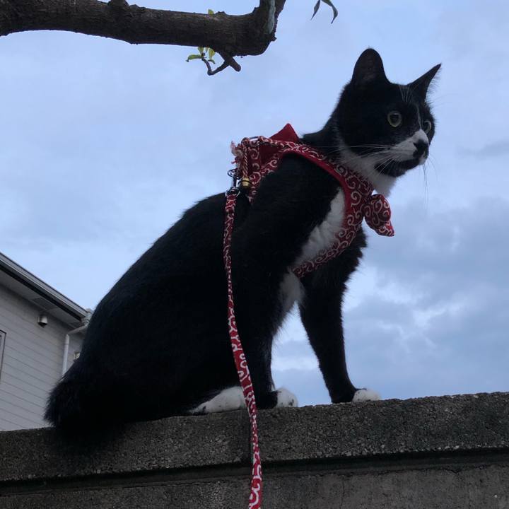 2f265726 486e 4b3e be0f a536e3305208 1568346030930