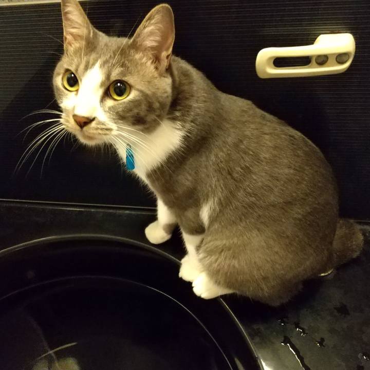 2f26627d 7a2d 4721 ad82 a403f235f984 1596635742101