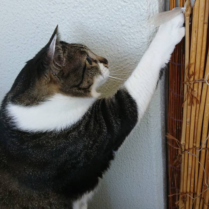 2f268533 430b 4f07 a17e 04f0c4d31126 1560809228699