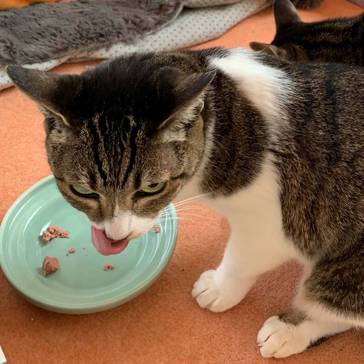 2f26898b 4c7d 497f b67f 0abf1714a8bb 1552698639053