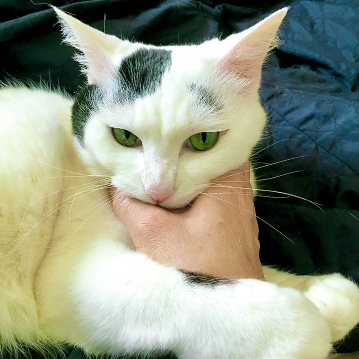 2f269150 2c82 4113 b0e7 17bd452a5ce8 1616142378841