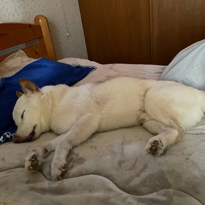 2f26be0e c361 4bfa b6b5 e6e0b0aed134 1636854767403