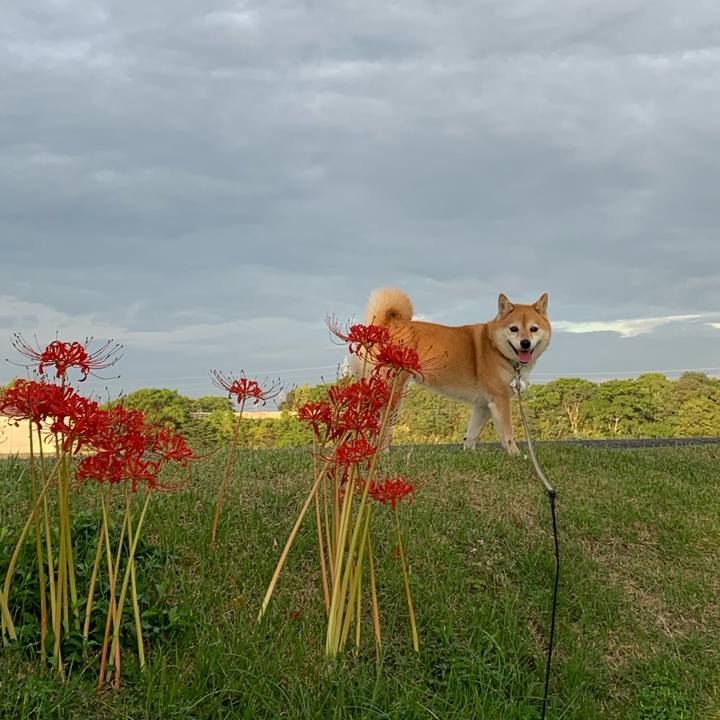 2f26c637 6cf5 4d7c 89e2 07548db8a400 1569624626304