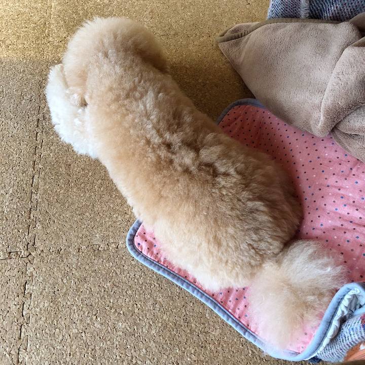 2f26e418 3761 4a86 8b2b 9574cdc92ca3 1525737659298