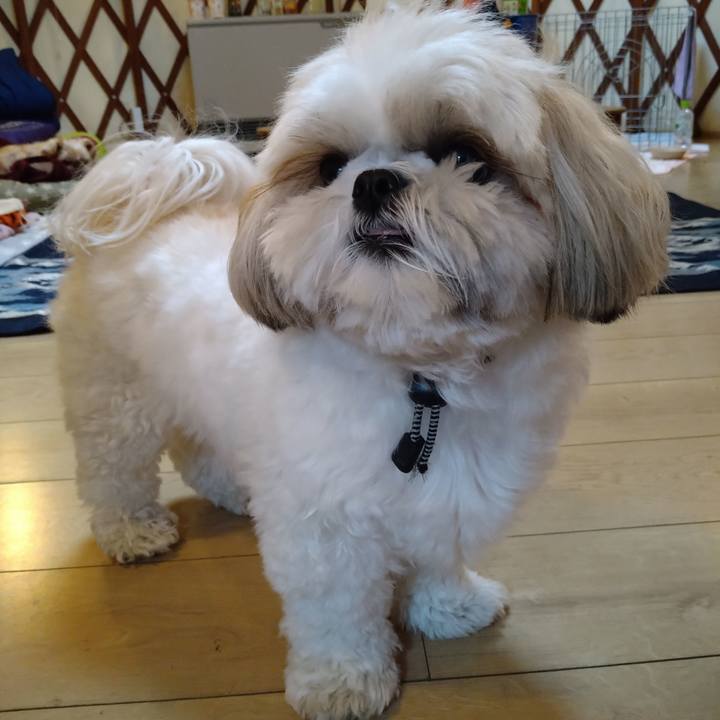 2f271f8c 64cb 41c3 831f d1dce5deaca7 1638829226316