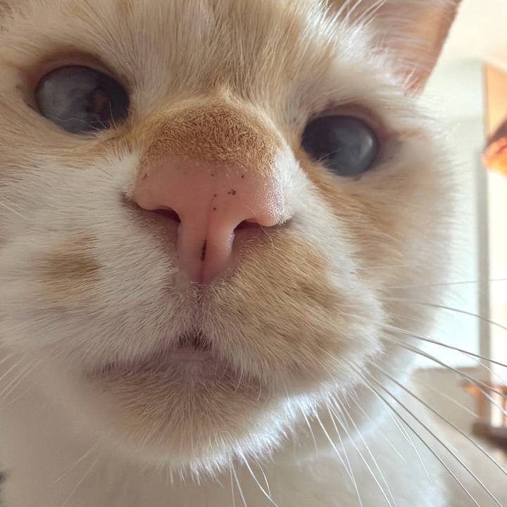 2f275ea1 6f3b 403d 8792 16943255737b 1769072234988