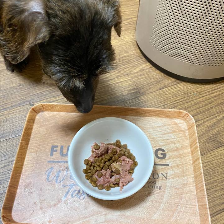 2f27706f a7ee 4965 bcf7 9f53ec53b552 1591021144643