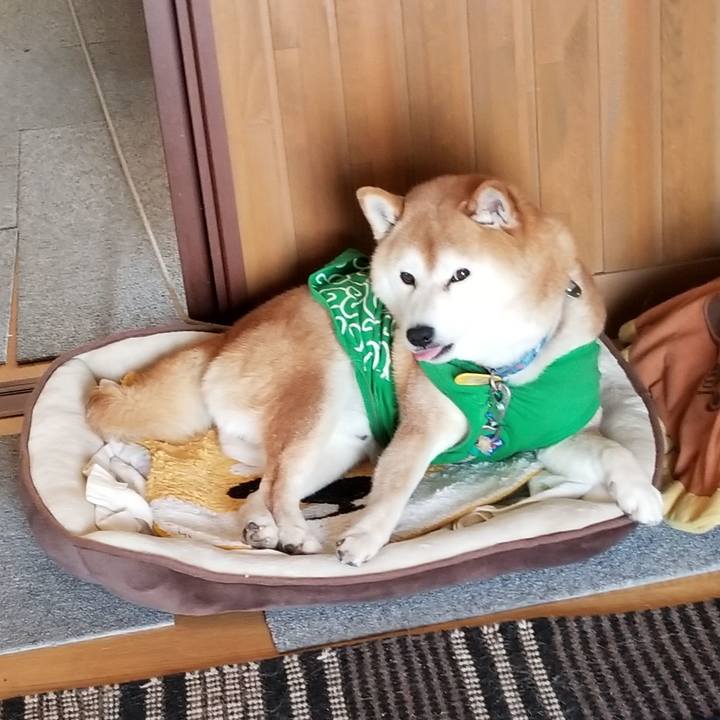 2f277bbc 2309 4522 9075 88ac3abd0495 1587346379223