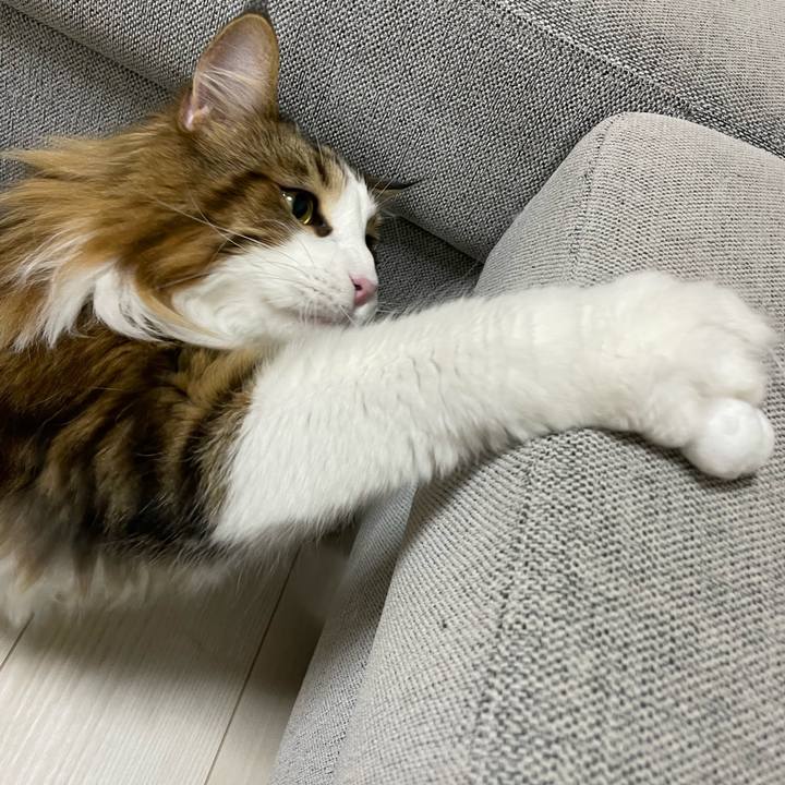 2f278614 a30f 4844 8f48 d6344a4c9624 1671449660612