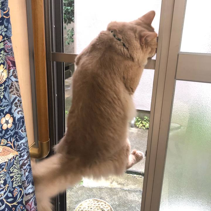 2f278987 4d18 476f 8fce 28cb91683ab2 1625967138892