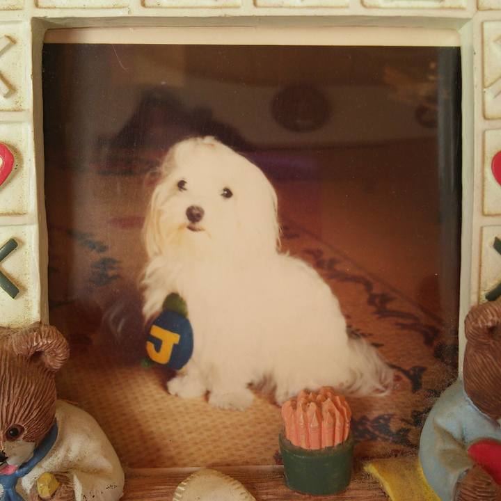 2f279ec4 9d72 4443 801e 875163f59e13 1520735592973