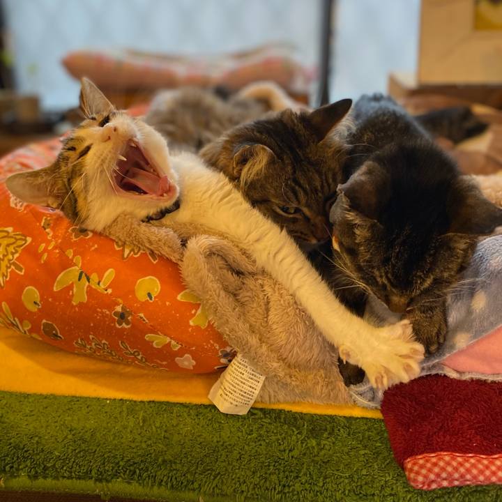 2f27bf20 6381 4f16 9a40 2224f8e3dde6 1705564912534