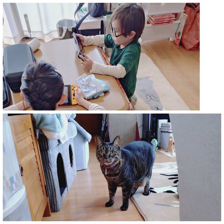 2f27c2b2 e8af 4753 9379 267c8daa0a27 1774753753348