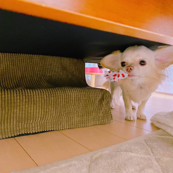 2f27cc31 1e3b 41a4 90f3 a7213b700108 1636979337441