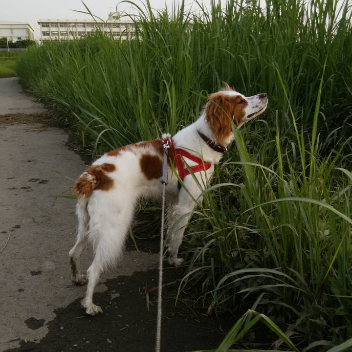 2f27fbc9 7e4b 4eb0 8a1c 31344776a10a 1526386929658