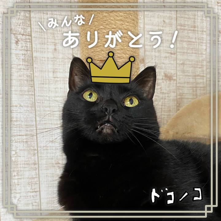 2f281265 06fb 425f 902b c961fddbfb84 1622853393019